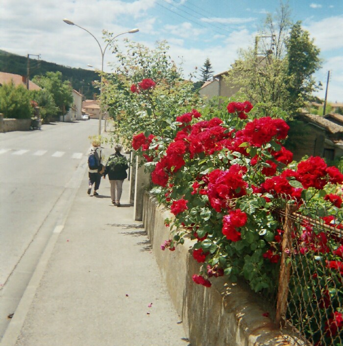 Rue Digne-les-Bains  c�te d'azur