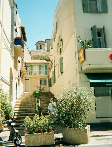 Suquet cannes