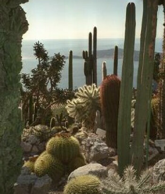 jardin Eze c�te d'azur