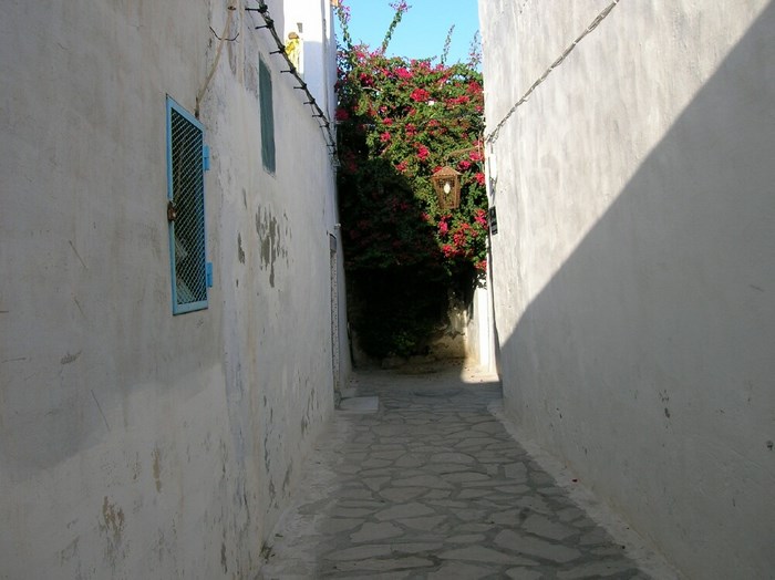 La M�dina hammamet