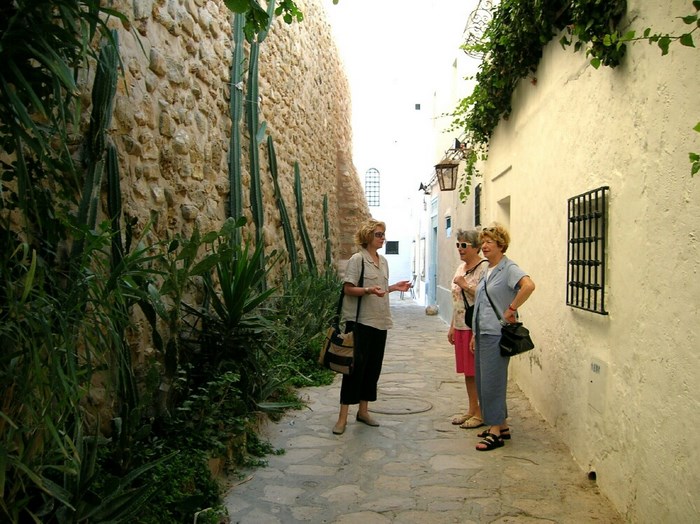 La M�dina hammamet