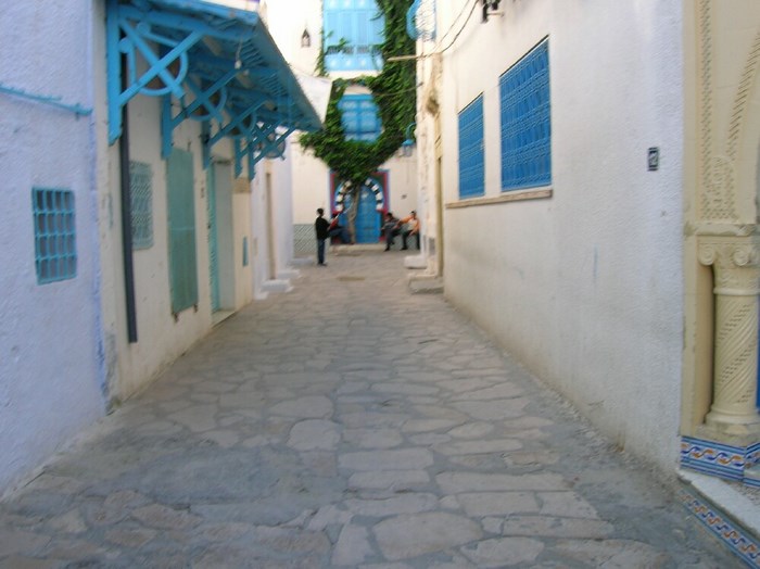 La M�dina hammamet