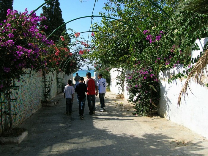 ruelle hammamet