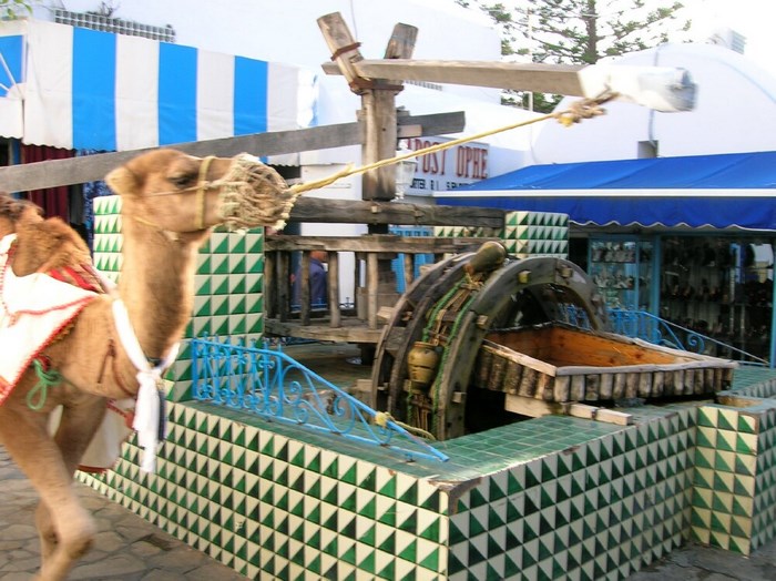 noria hammamet