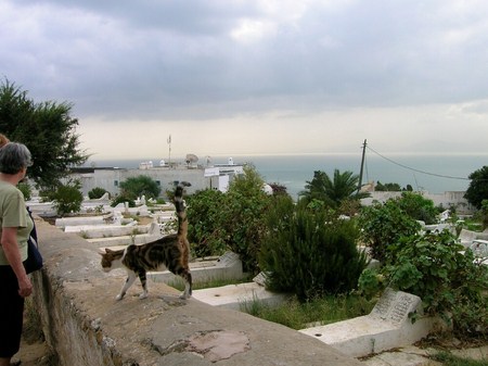 Sidi Bou Said tunisie