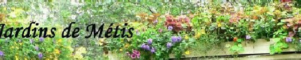 Jardins de M�tis Qu�bec