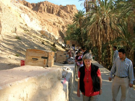 chebika Tunisie