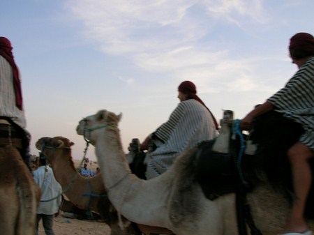 D�sert Douze Tunisie