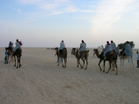 D�sert Douze Tunisie