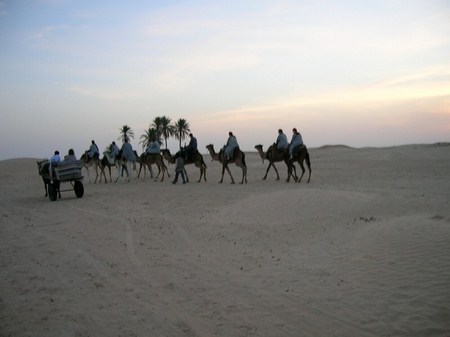 D�sert Douze Tunisie