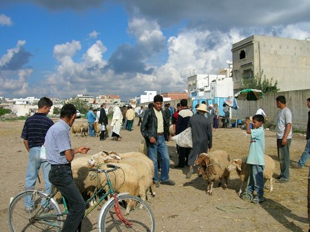 March� Nabeul Tunisie