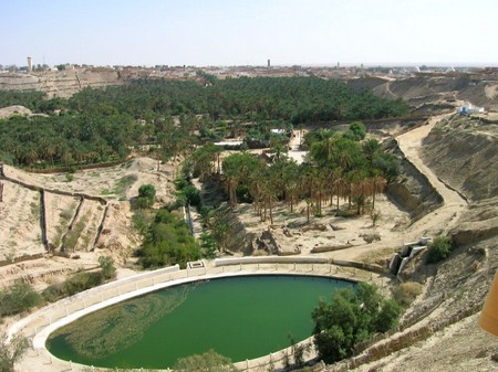 Oasis la corbeille Nefta Tunisie