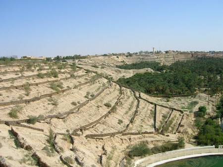 Oasis la corbeille Nefta Tunisie
