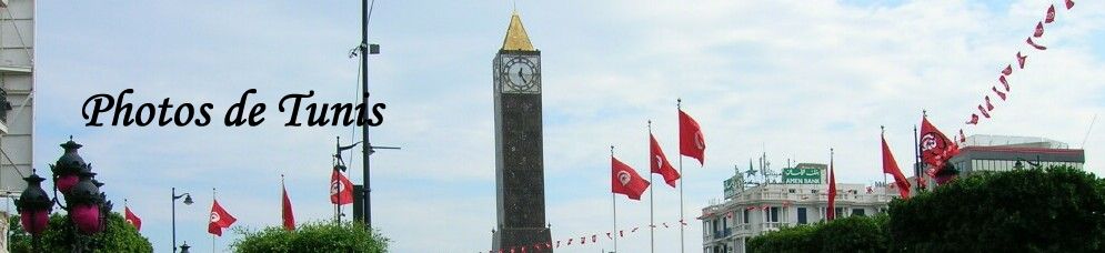 Tunis